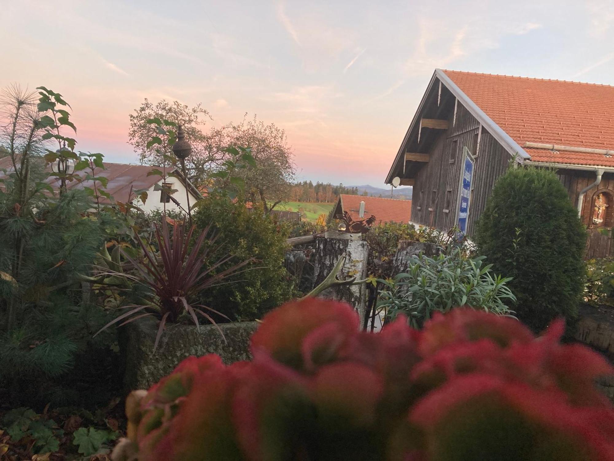 Zur Neuen Post Landgasthof Herzogsreut Bagian luar foto