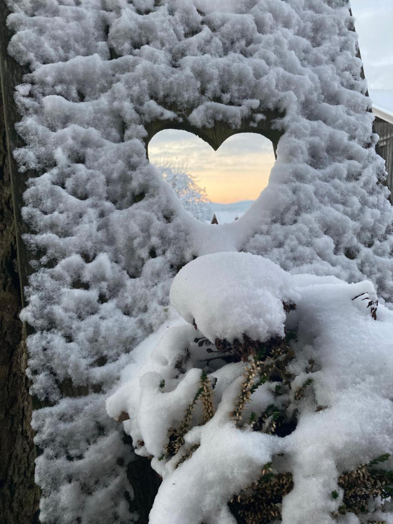 Zur Neuen Post Landgasthof Herzogsreut Bagian luar foto