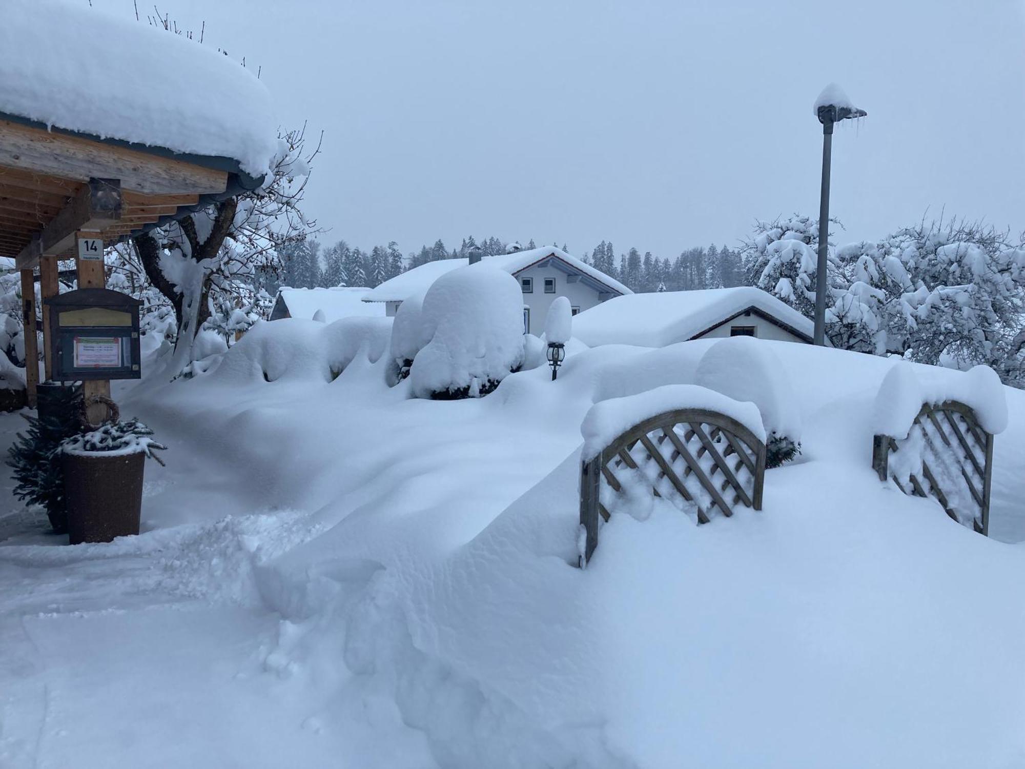 Zur Neuen Post Landgasthof Herzogsreut Bagian luar foto