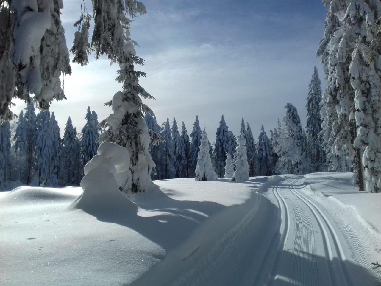 Zur Neuen Post Landgasthof Herzogsreut Bagian luar foto